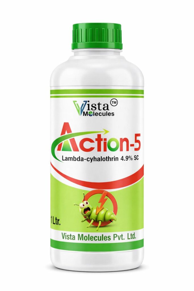 ACTION 5
