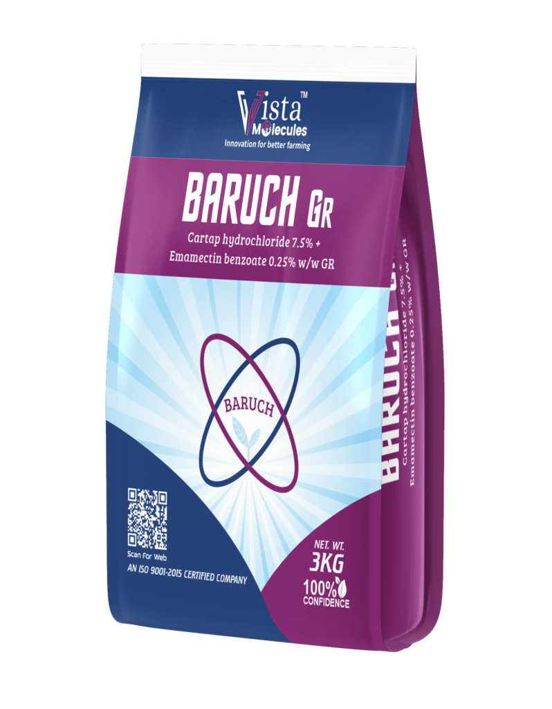BARUCH GR