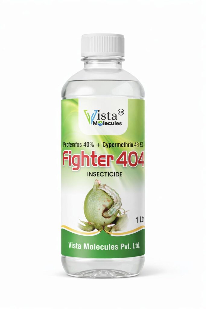 FIGHTER 404
