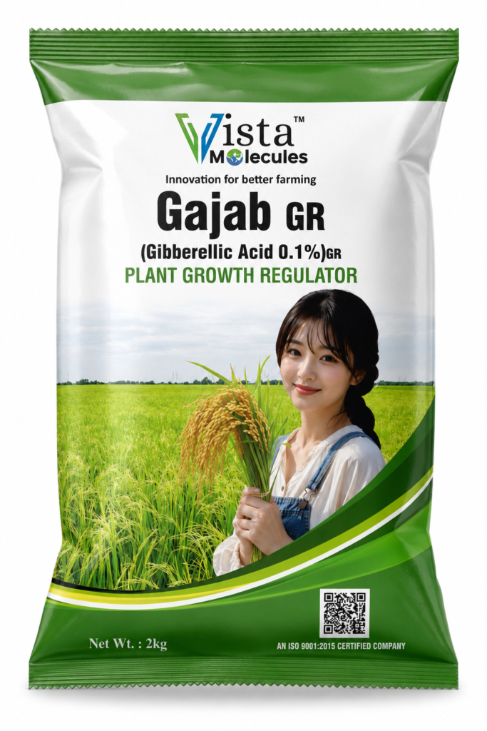 GAZAB