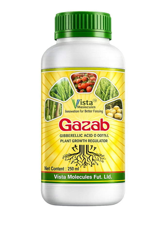 GAZAB